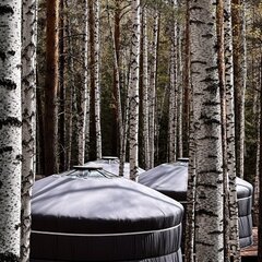 Загородный комплекс Время леса, Свердловская область