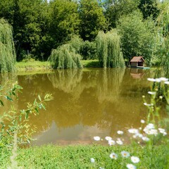 Коттедж Речной клуб, Воронежская область