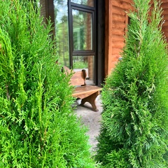 Эко-комплекс Ёлки Город, Свердловская область