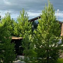 База отдыха Retreat Place, Тюменская область