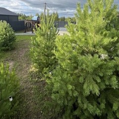 База отдыха Retreat Place, Тюменская область