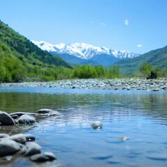 Гостевой дом Три Медведя, Республика Карачаево-Черкесия 