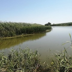 Рыболовная база 14-ая Жилка, Астраханская область