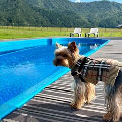 Гостиничный комплекс Ранчо Техас, Республика Алтай