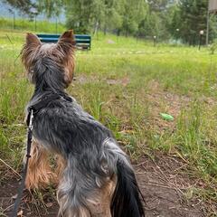 Гостиничный комплекс Ранчо Техас, Республика Алтай