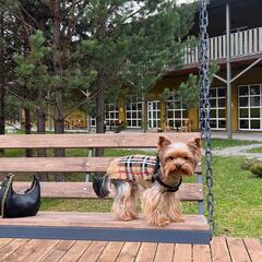 Гостиничный комплекс Ранчо Техас, Республика Алтай