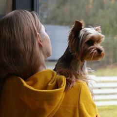 Гостиничный комплекс Ранчо Техас, Республика Алтай