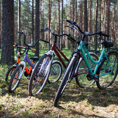 База отдыха Seliger soul, Тверская область