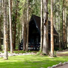 Загородный отель VIEW GA Wild Forest, Ленинградская область