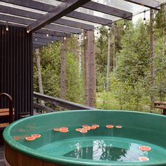 Загородный отель VIEW GA Wild Forest, Ленинградская область