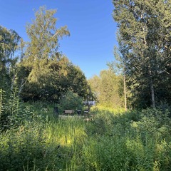 Глэмпинг Озеро Ле, Московская область