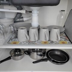 База семейного отдыха Щастье, Новгородская область