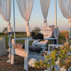 База семейного отдыха Щастье, Новгородская область