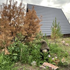 Глэмпинг Хат Хаус, Красноярский край