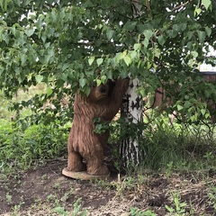 Глэмпинг Хат Хаус, Красноярский край