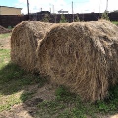 Глэмпинг Хат Хаус, Красноярский край