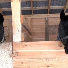 Глэмпинг Хат Хаус, Красноярский край