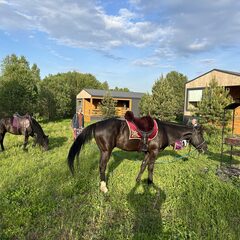 База отдыха Дача Искона, Московская область