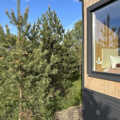 База отдыха Дача Искона, Московская область