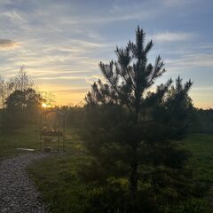 База отдыха Дача Искона, Московская область