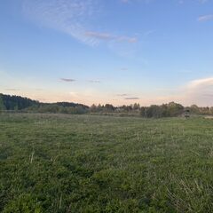 База отдыха Дача Искона, Московская область