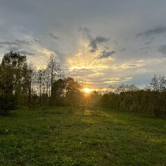 База отдыха Дача Искона, Московская область