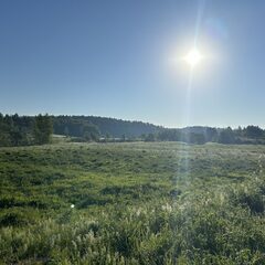 База отдыха Дача Искона, Московская область