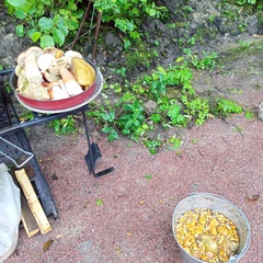 Глэмпинг Тихий Каньон, Республика Карелия