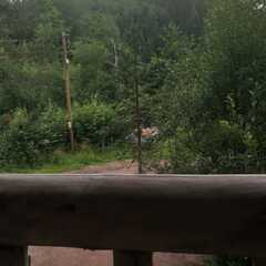 Глэмпинг Тихий Каньон, Республика Карелия