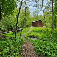 Глэмпинг Живописный остров, Московская область