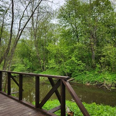 Глэмпинг Живописный остров, Московская область