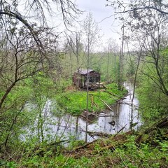 Глэмпинг Живописный остров, Московская область