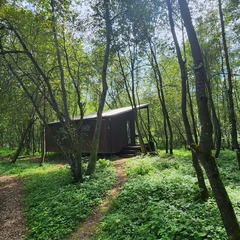 Глэмпинг Живописный остров, Московская область