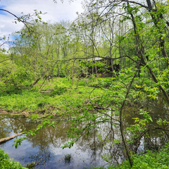 Глэмпинг Живописный остров, Московская область