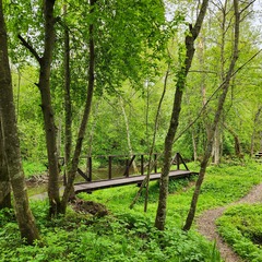 Глэмпинг Живописный остров, Московская область