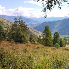 Гостевой дом Сова, Республика Алтай