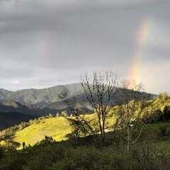 Гостевой дом Сова, Республика Алтай