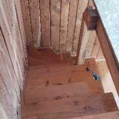 Гостевой дом Сова, Республика Алтай