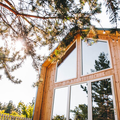 Дом в сосновом бору с баней, Самарская область