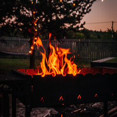 Дом в сосновом бору с баней, Самарская область