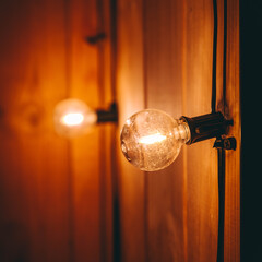 Дом в сосновом бору с баней, Самарская область