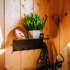 Дом в сосновом бору с баней, Самарская область