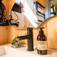 Дом в сосновом бору с баней, Самарская область