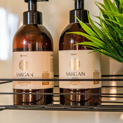 Дом в сосновом бору с баней, Самарская область