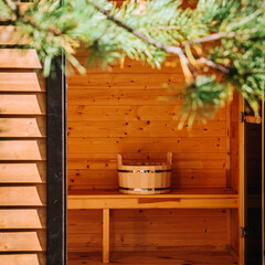 Дом в сосновом бору с баней, Самарская область