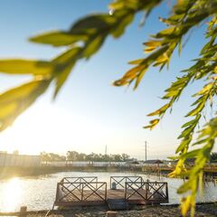 Загородный клуб Sunny Lake, Тверская область