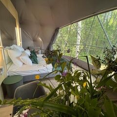 Эко-отель Rich Life Village, Ярославская область