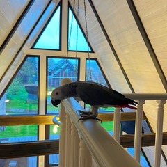 Глэмпинг A-Frame Синильга, Республика Башкортостан