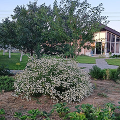 Комплекс Дом на Пичуге, Волгоградская область