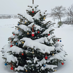 Комплекс Дом на Пичуге, Волгоградская область